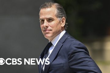 Republican lawmakers react to Hunter Biden plea deal collapse