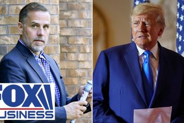 Timing of Trump’s new charges, Hunter Biden plea debacle is ‘suspicious’: Swecker