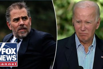 ‘I HAVE NO COMMENT’: Joe Biden addresses special counsel in Hunter Biden probe